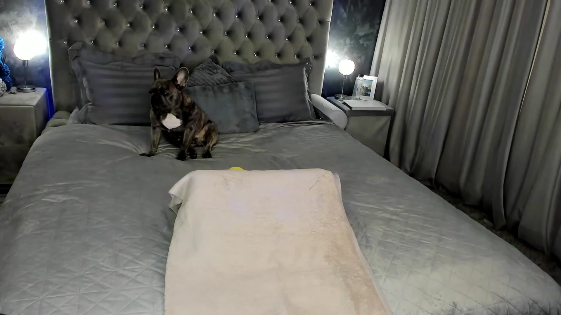 Gallery image thumbnail from AnnaBabe66's myfreecams stream on, 03/06/2024, 11:32 image 17 of 20