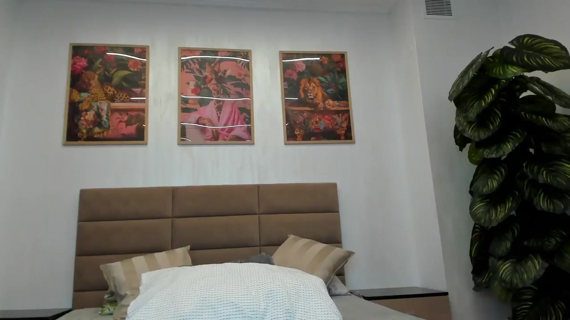 Gallery image thumbnail from AnnaBabe66's myfreecams stream on, 05/14/2025, 12:15 image 3 of 20