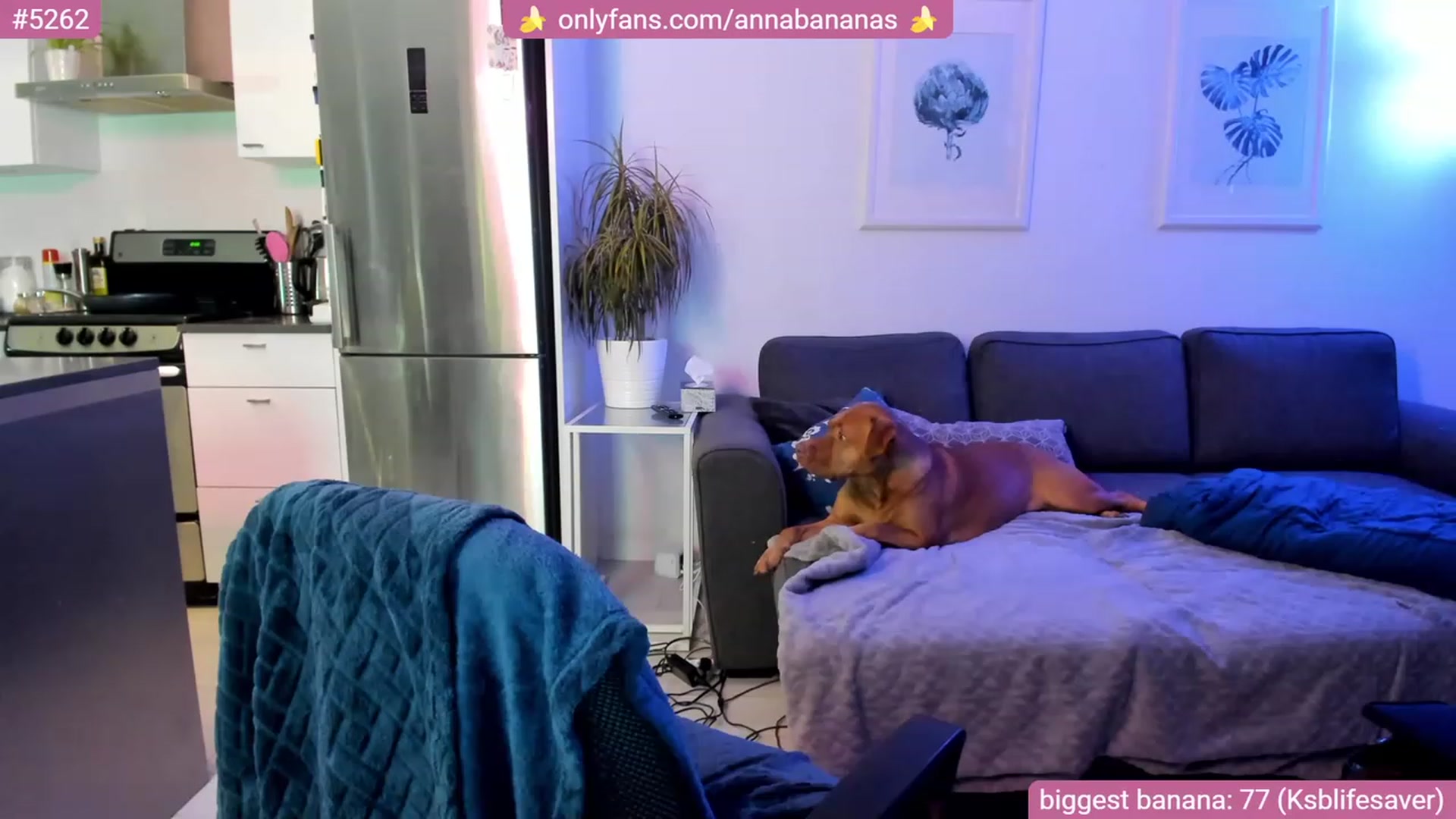 Gallery image thumbnail from AnnaBanana's myfreecams stream on, 01/14/2023, 05:33 image 6 of 20