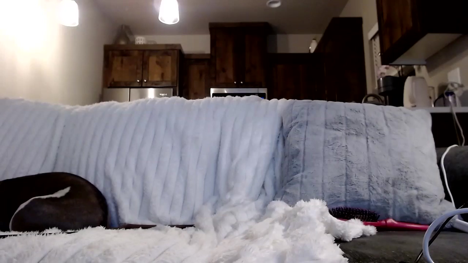 Gallery image thumbnail from AnnaBellamy's myfreecams stream on, 06/21/2024, 04:44 image 19 of 20