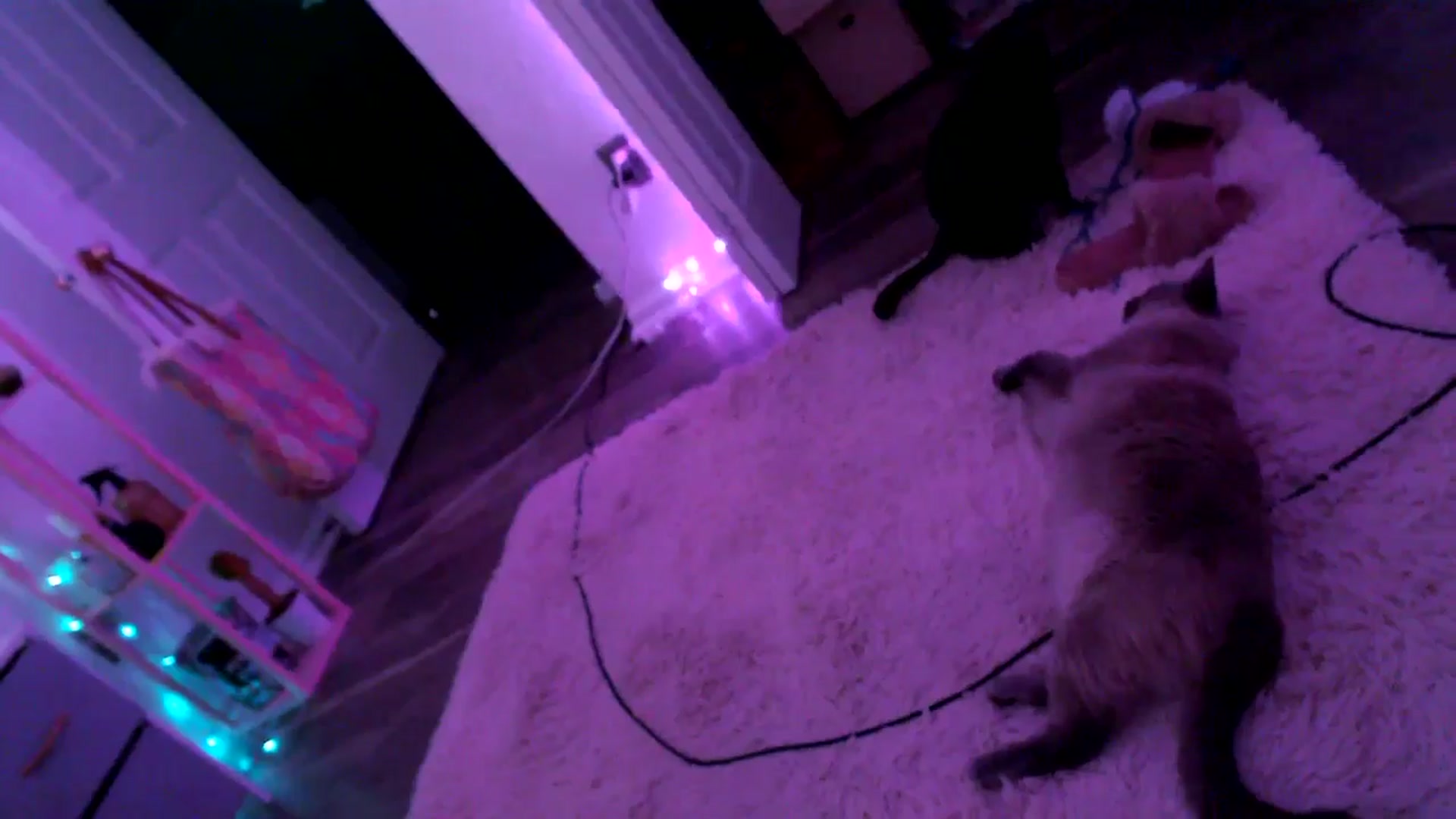 Gallery image thumbnail from AnnaFaux's myfreecams stream on, 05/24/2025, 24:44 image 15 of 20
