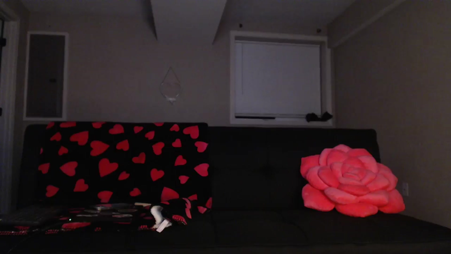 Gallery image thumbnail from AnnaGingerDD's myfreecams stream on, 04/03/2024, 07:57 image 4 of 20