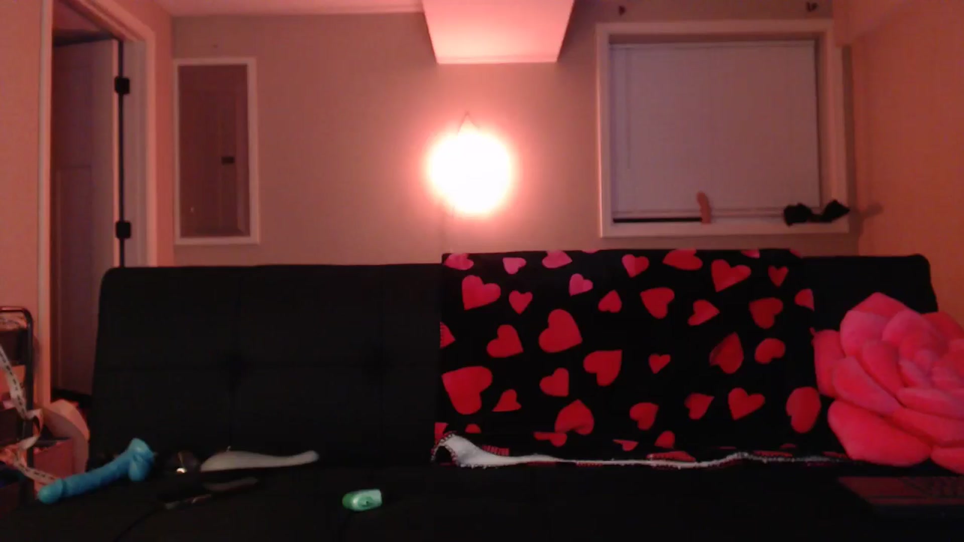 Gallery image thumbnail from AnnaGingerDD's myfreecams stream on, 05/09/2024, 10:01 image 5 of 20