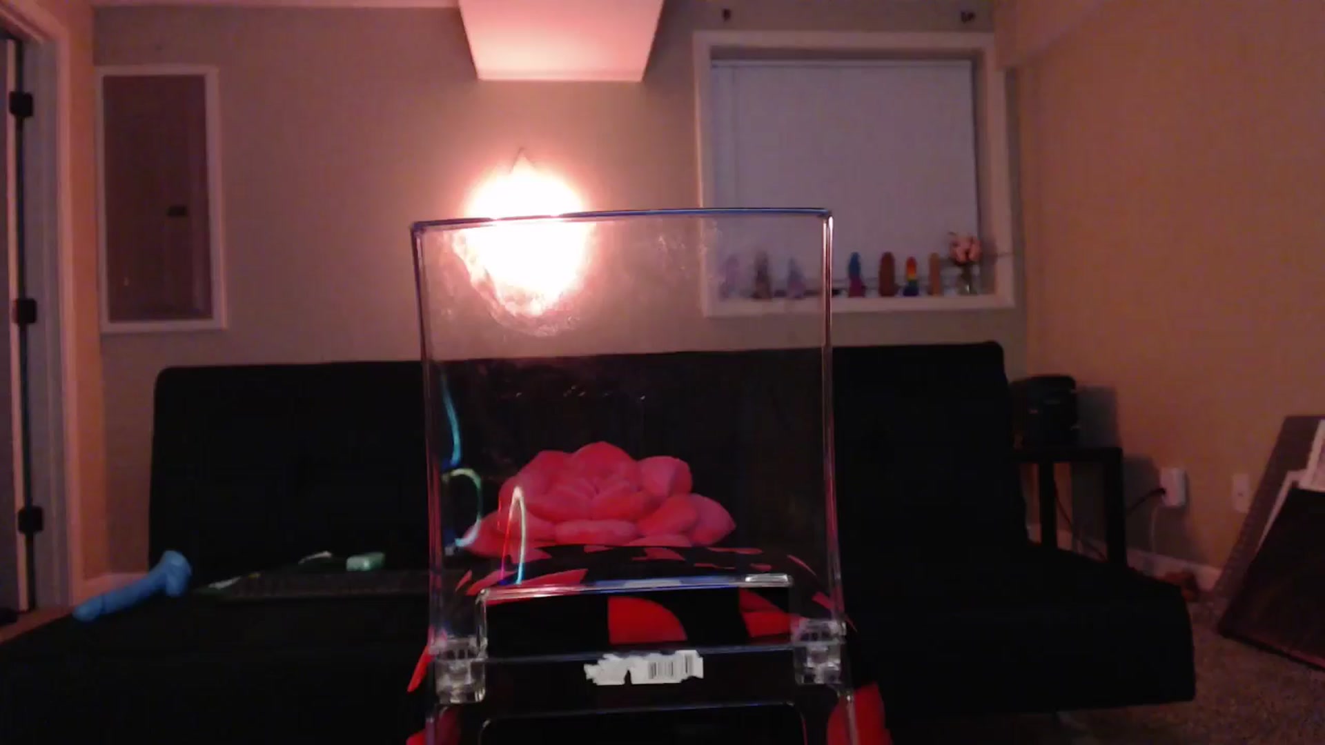 Gallery image thumbnail from AnnaGingerDD's myfreecams stream on, 05/10/2024, 08:12 image 5 of 20