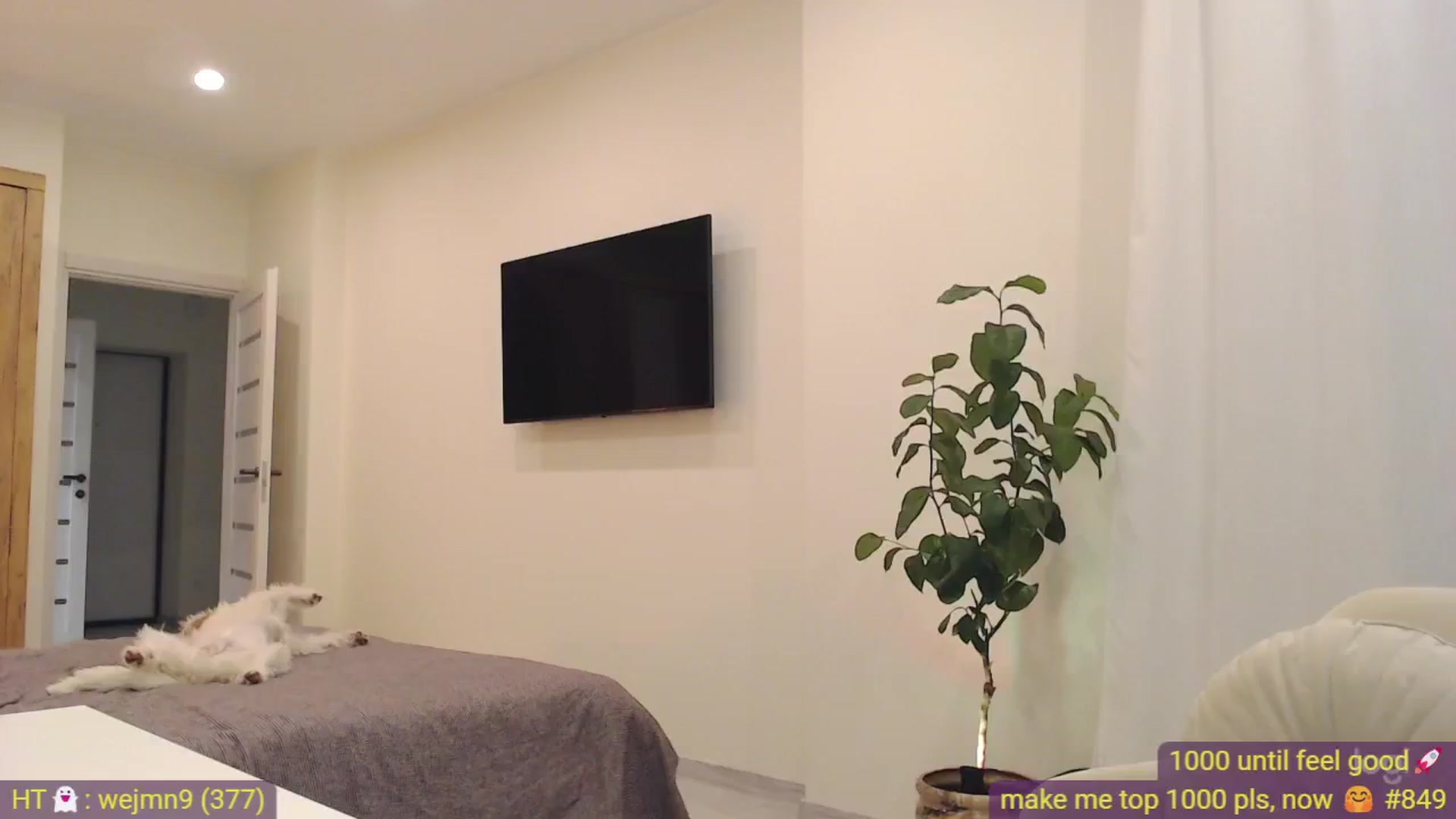Gallery image thumbnail from AnnaLuv's myfreecams stream on, 11/03/2024, 23:24 image 1 of 20