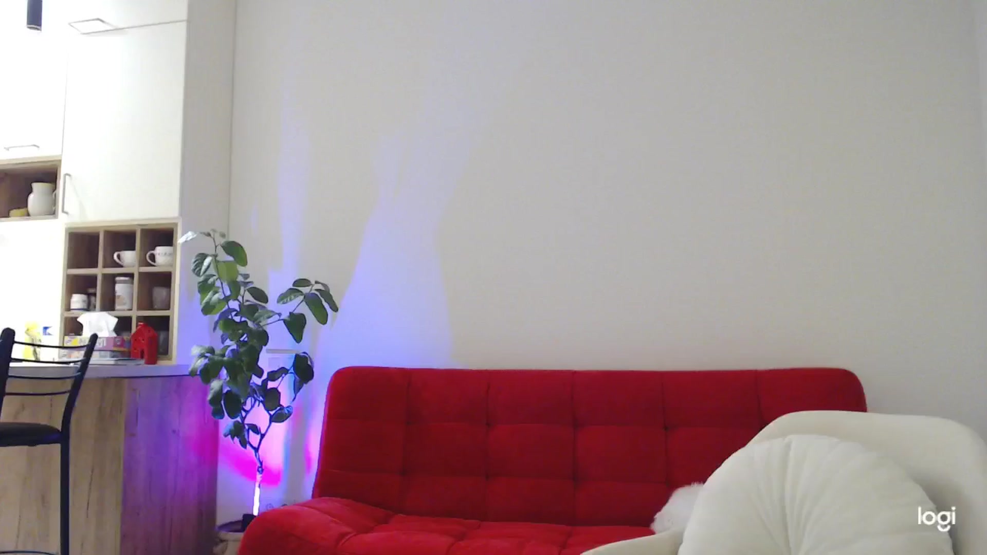 Gallery image thumbnail from AnnaLuv's myfreecams stream on, 11/11/2024, 24:08 image 1 of 20