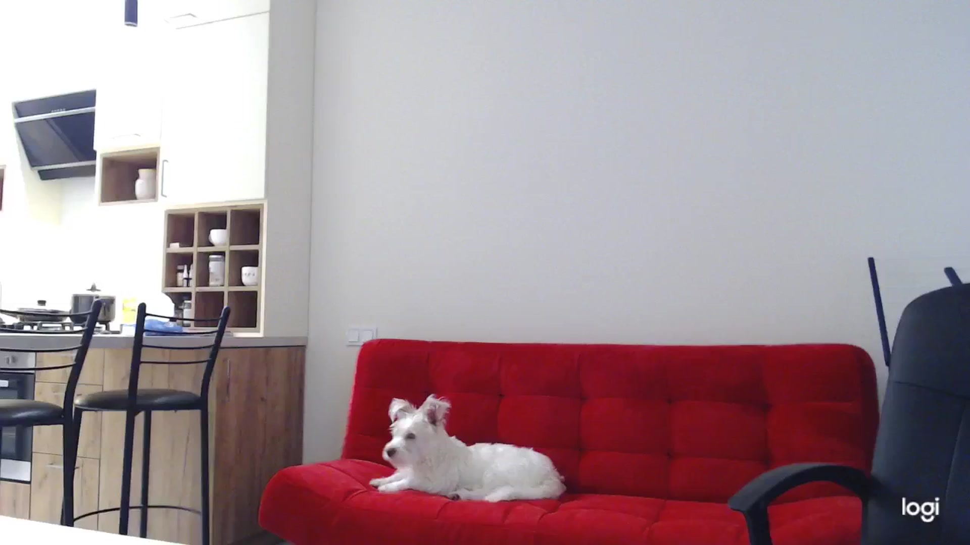 Gallery image thumbnail from AnnaLuv's myfreecams stream on, 12/03/2024, 10:50 image 12 of 20