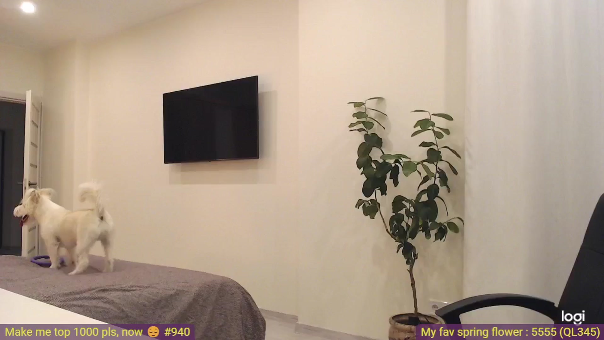 Gallery image thumbnail from AnnaLuv's myfreecams stream on, 03/30/2025, 23:38 image 3 of 20