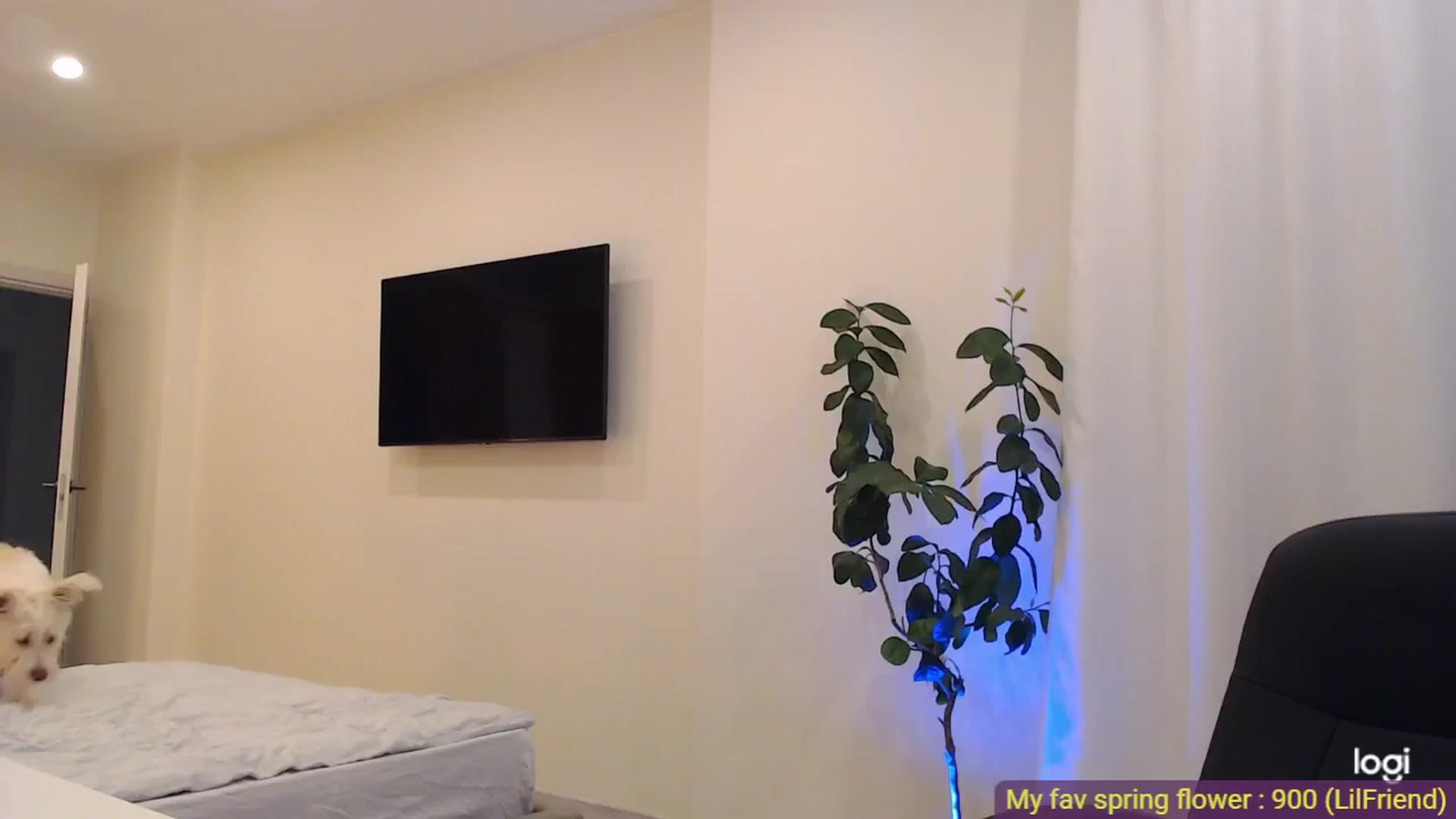 Gallery image thumbnail from AnnaLuv's myfreecams stream on, 05/17/2025, 24:09 image 1 of 20