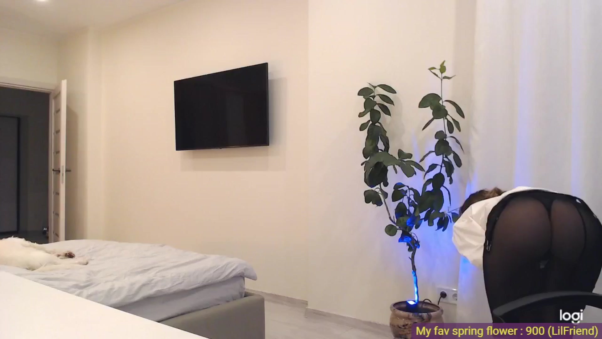 Gallery image thumbnail from AnnaLuv's myfreecams stream on, 05/19/2025, 23:02 image 14 of 20