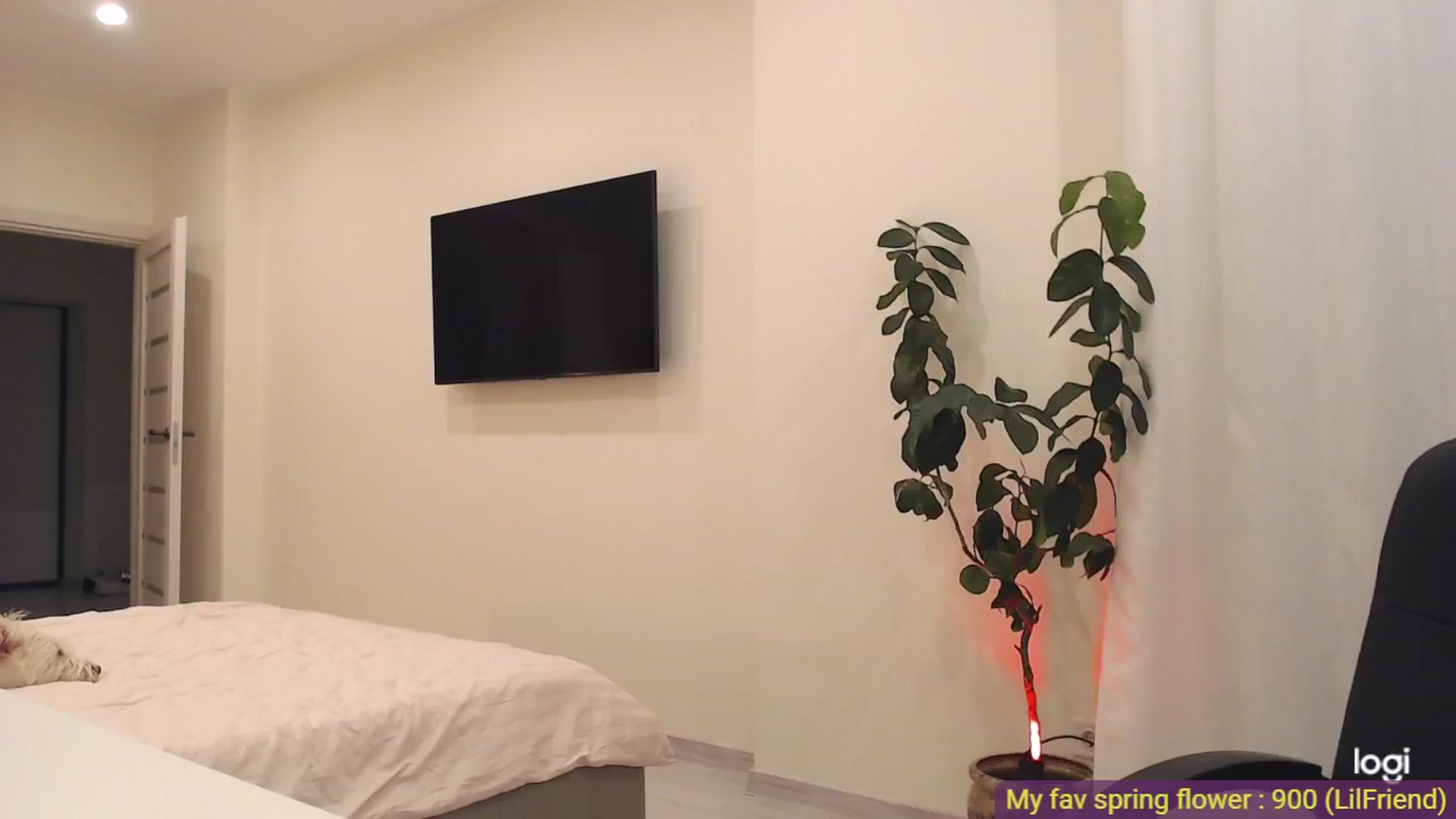 Gallery image thumbnail from AnnaLuv's myfreecams stream on, 05/24/2025, 22:43 image 19 of 20