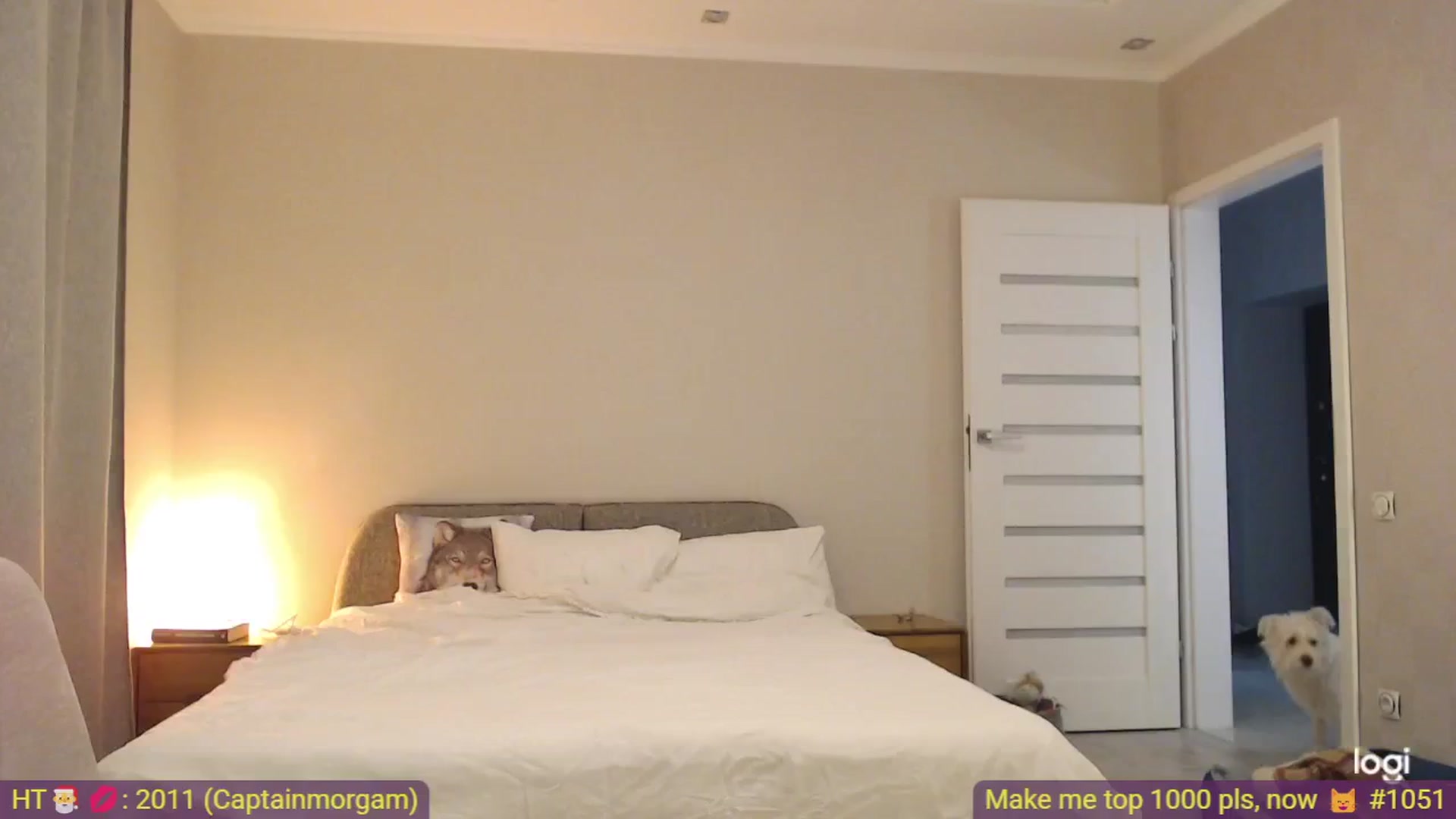 Gallery image thumbnail from AnnaLuv's myfreecams stream on, 01/31/2026, 21:25 image 4 of 20