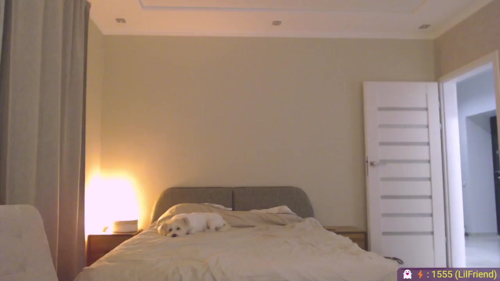 Gallery image thumbnail from AnnaLuv's myfreecams stream on, 04/10/2026, 22:39 image 13 of 20