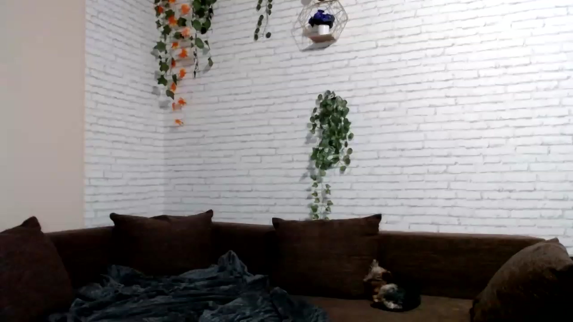 Gallery image thumbnail from AnnaMFC_'s myfreecams stream on, 03/20/2023, 04:37 image 11 of 20