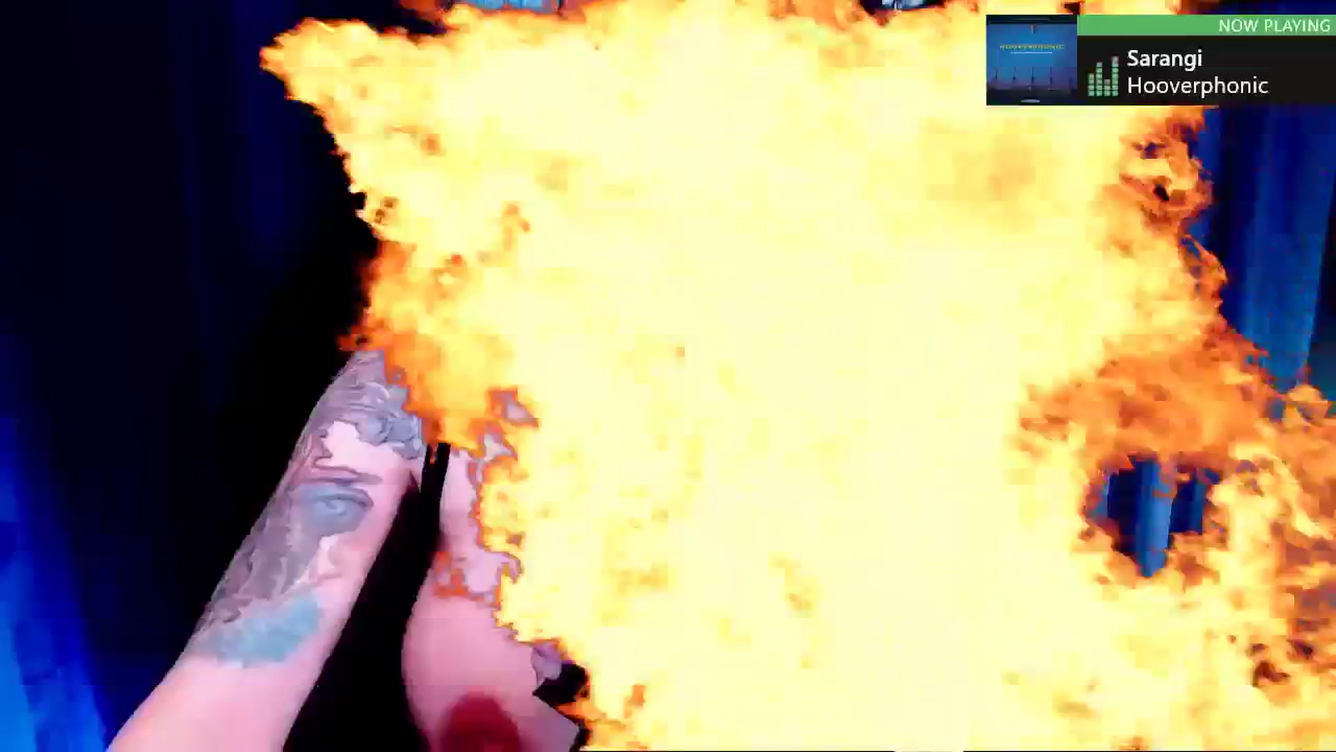 Gallery image thumbnail from AnnaMolli's myfreecams stream on, 11/11/2023, 05:02 image 7 of 20