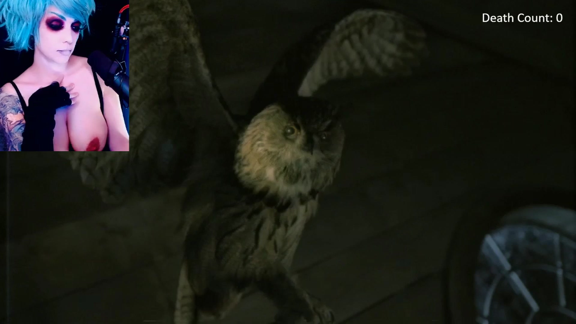 Gallery image thumbnail from AnnaMolli's myfreecams stream on, 12/07/2023, 04:24 image 13 of 20