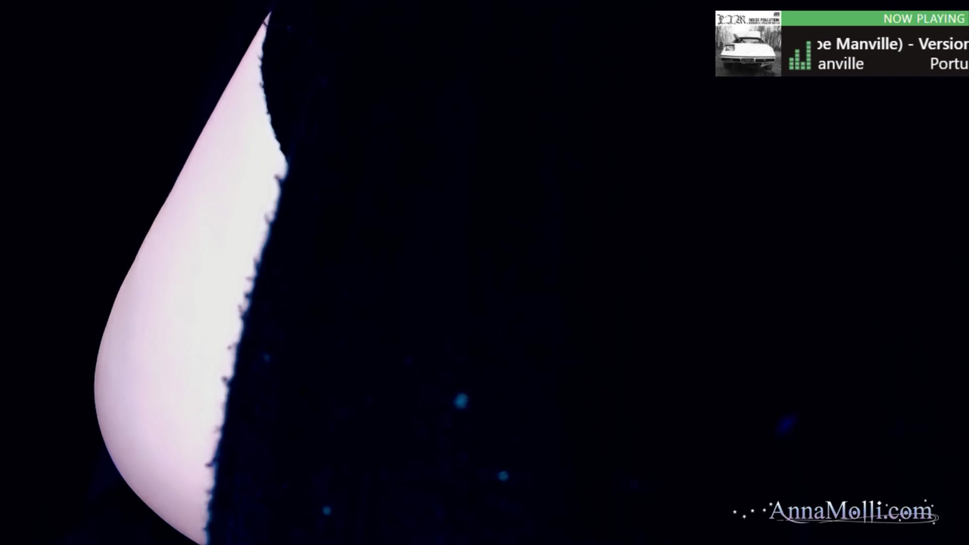 Gallery image thumbnail from AnnaMolli's myfreecams stream on, 07/15/2024, 04:02 image 5 of 20