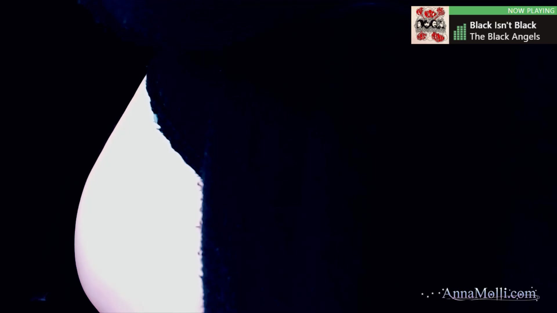 Gallery image thumbnail from AnnaMolli's myfreecams stream on, 10/20/2024, 06:38 image 18 of 20