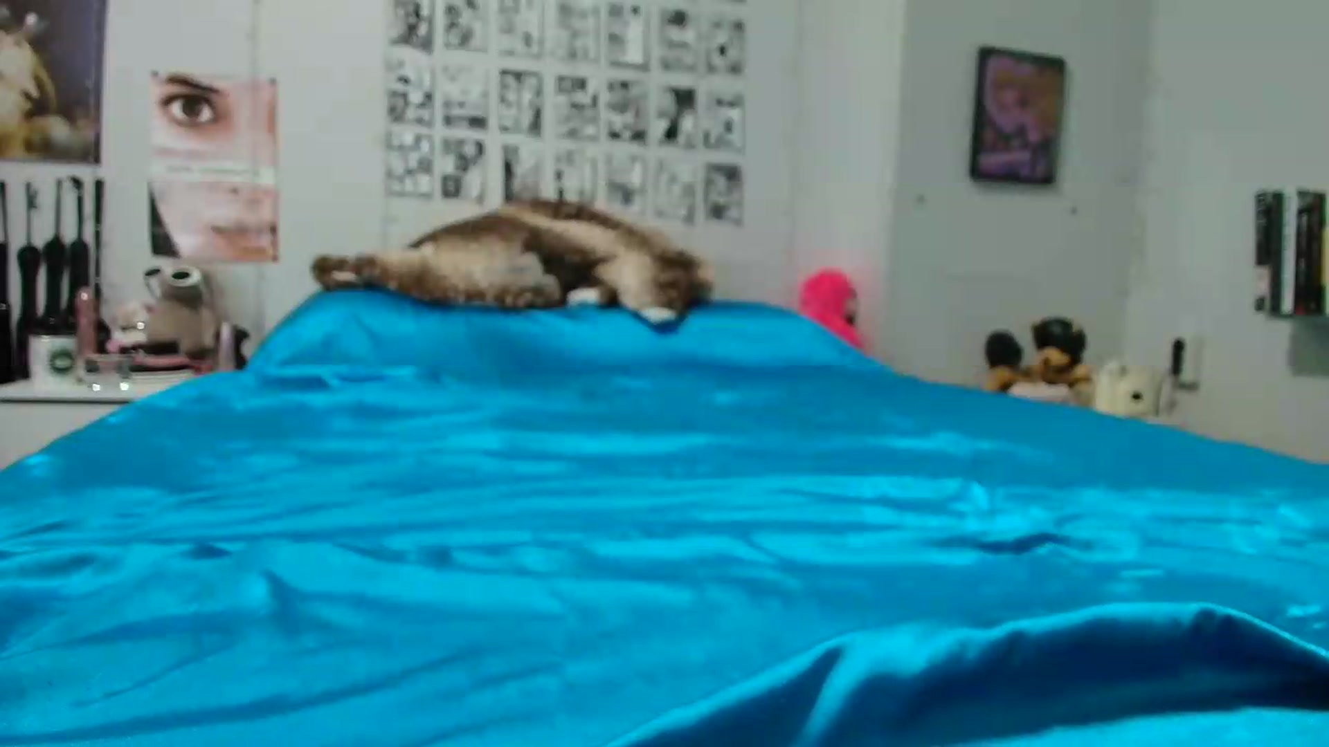 Gallery image thumbnail from AnnaTame's myfreecams stream on, 06/21/2026, 05:56 image 13 of 20