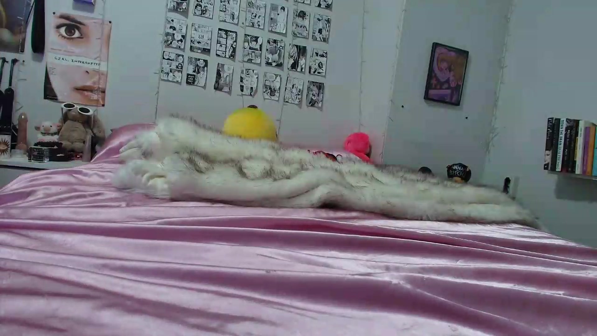 Gallery image thumbnail from AnnaTame's myfreecams stream on, 09/07/2026, 08:50 image 10 of 20