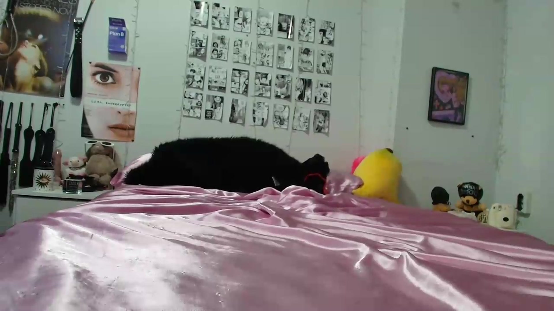 Gallery image thumbnail from AnnaTame's myfreecams stream on, 09/10/2026, 09:55 image 13 of 20