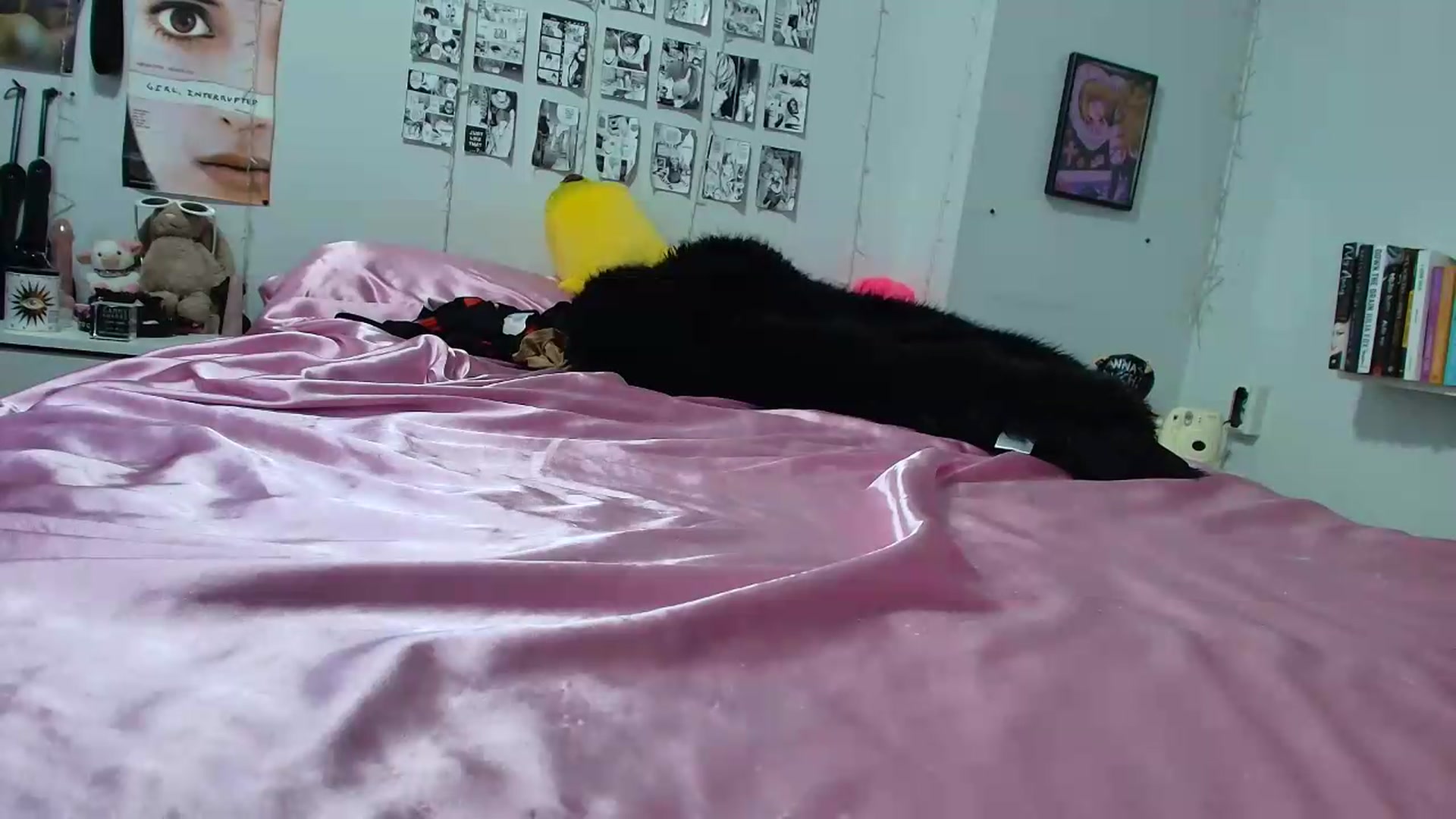 Gallery image thumbnail from AnnaTame's myfreecams stream on, 09/13/2026, 08:03 image 10 of 20