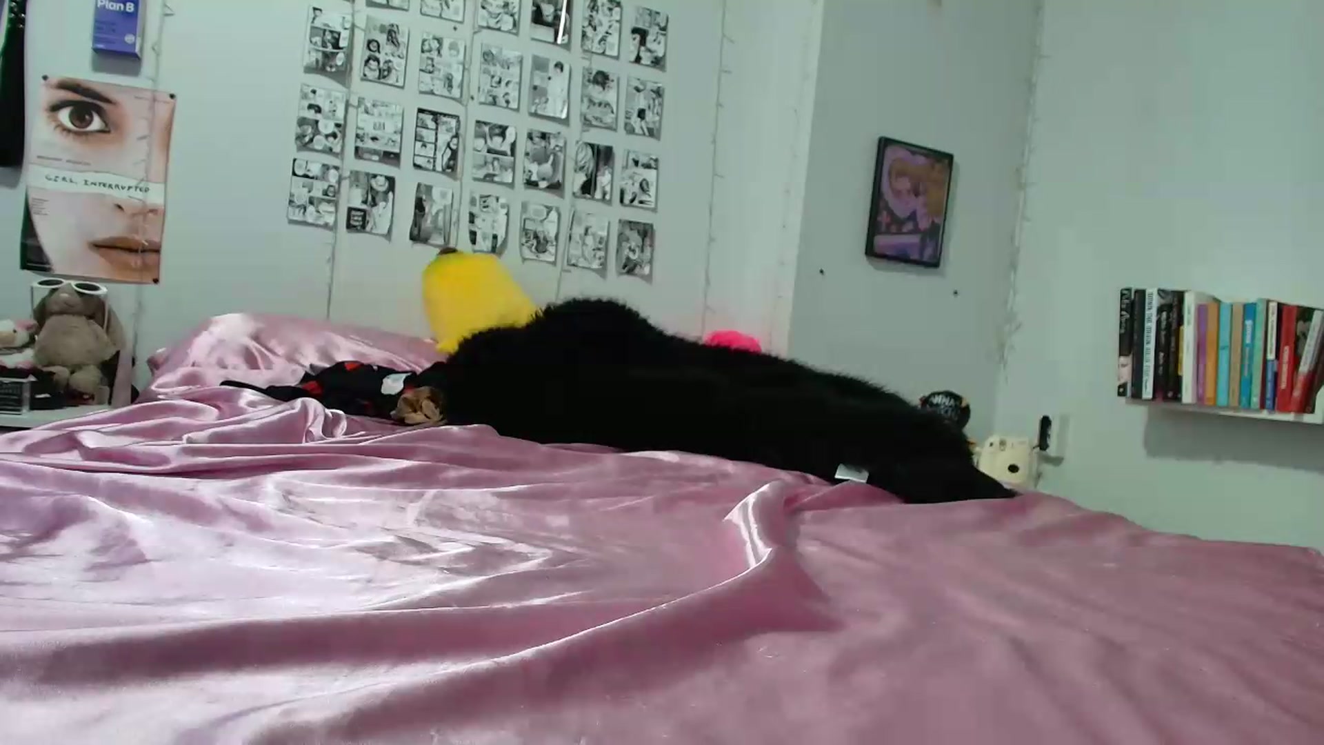 Gallery image thumbnail from AnnaTame's myfreecams stream on, 09/13/2026, 08:03 image 13 of 20