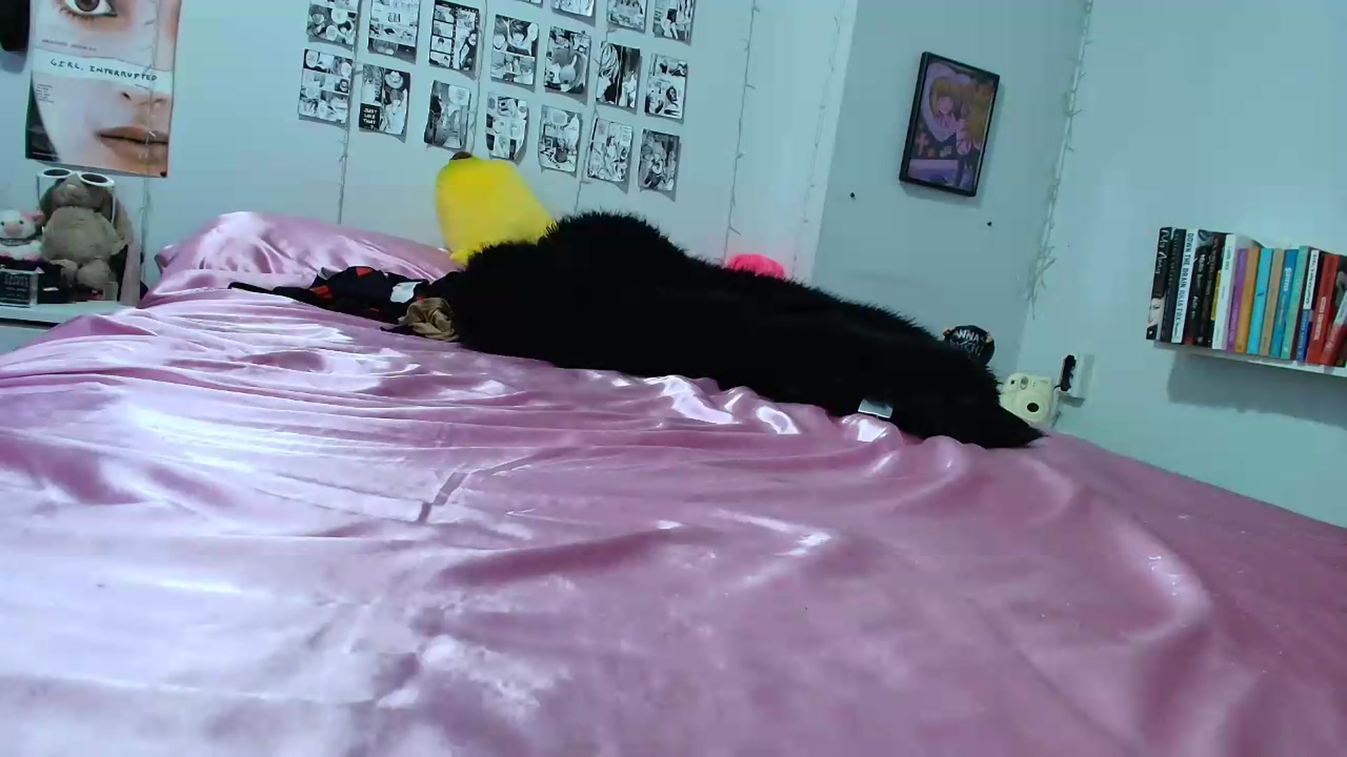 Gallery image thumbnail from AnnaTame's myfreecams stream on, 09/13/2026, 08:03 image 18 of 20