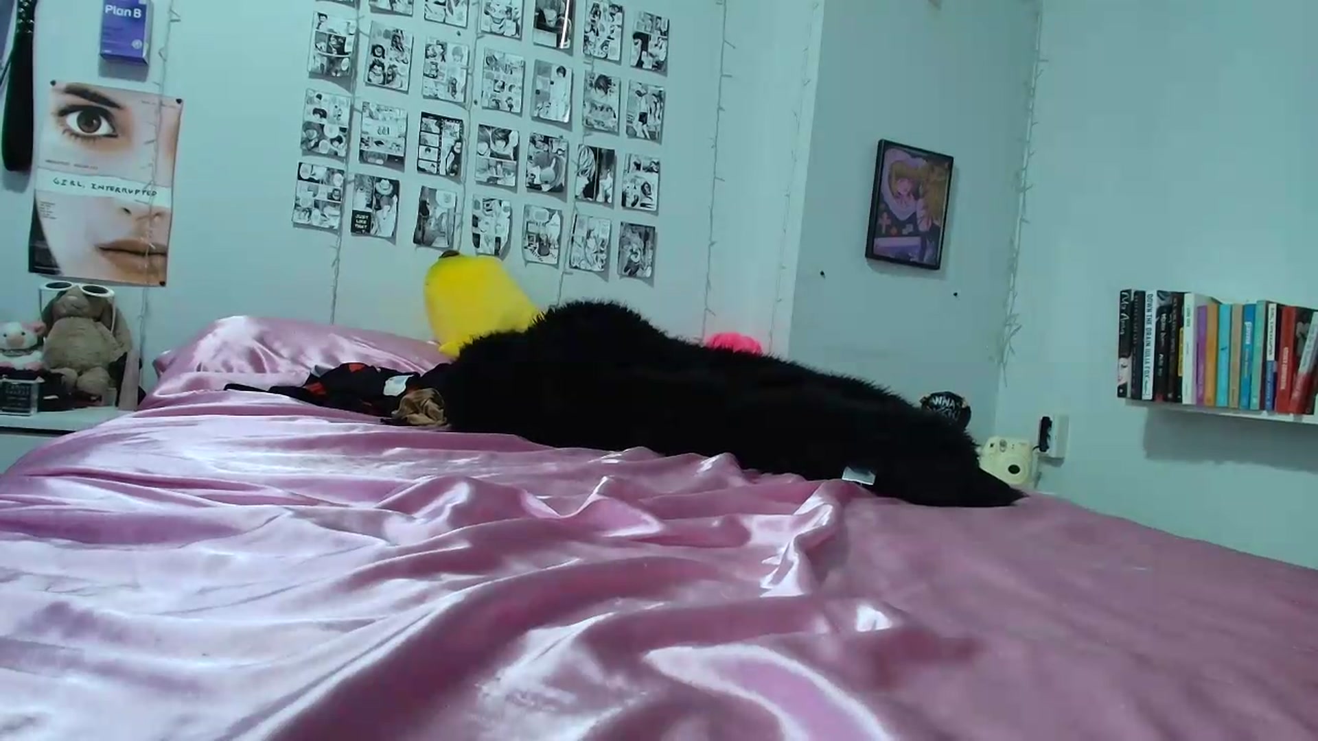Gallery image thumbnail from AnnaTame's myfreecams stream on, 09/13/2026, 08:03 image 15 of 20