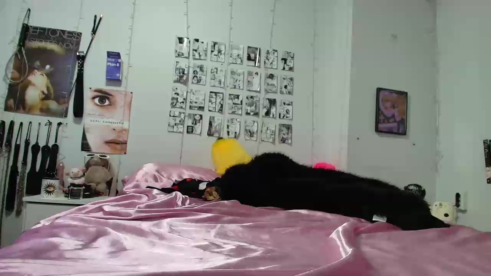 Gallery image thumbnail from AnnaTame's myfreecams stream on, 09/13/2026, 08:03 image 11 of 20