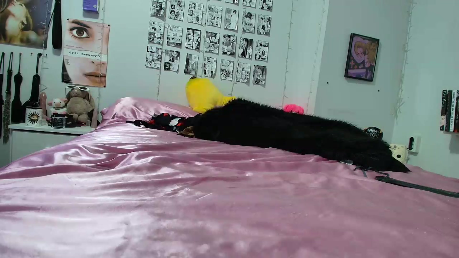Gallery image thumbnail from AnnaTame's myfreecams stream on, 09/13/2026, 08:50 image 17 of 20