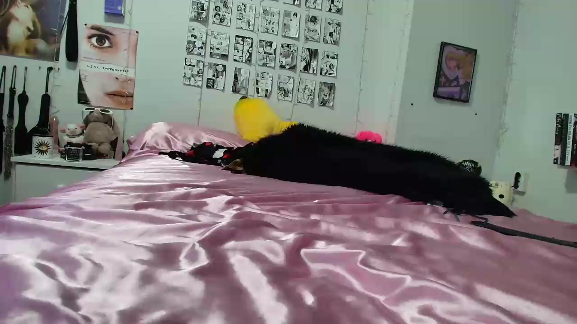 Gallery image thumbnail from AnnaTame's myfreecams stream on, 09/13/2026, 08:50 image 15 of 20