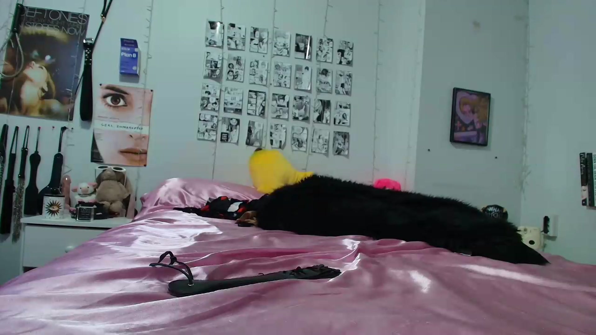Gallery image thumbnail from AnnaTame's myfreecams stream on, 09/13/2026, 08:50 image 5 of 20
