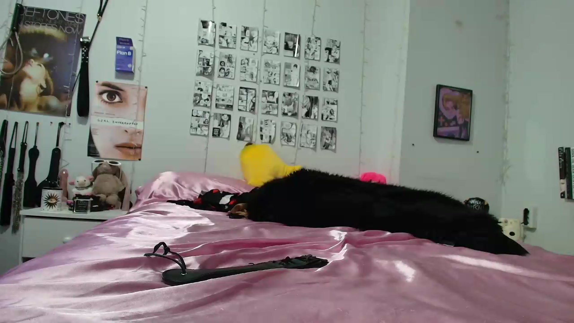 Gallery image thumbnail from AnnaTame's myfreecams stream on, 09/13/2026, 08:50 image 6 of 20