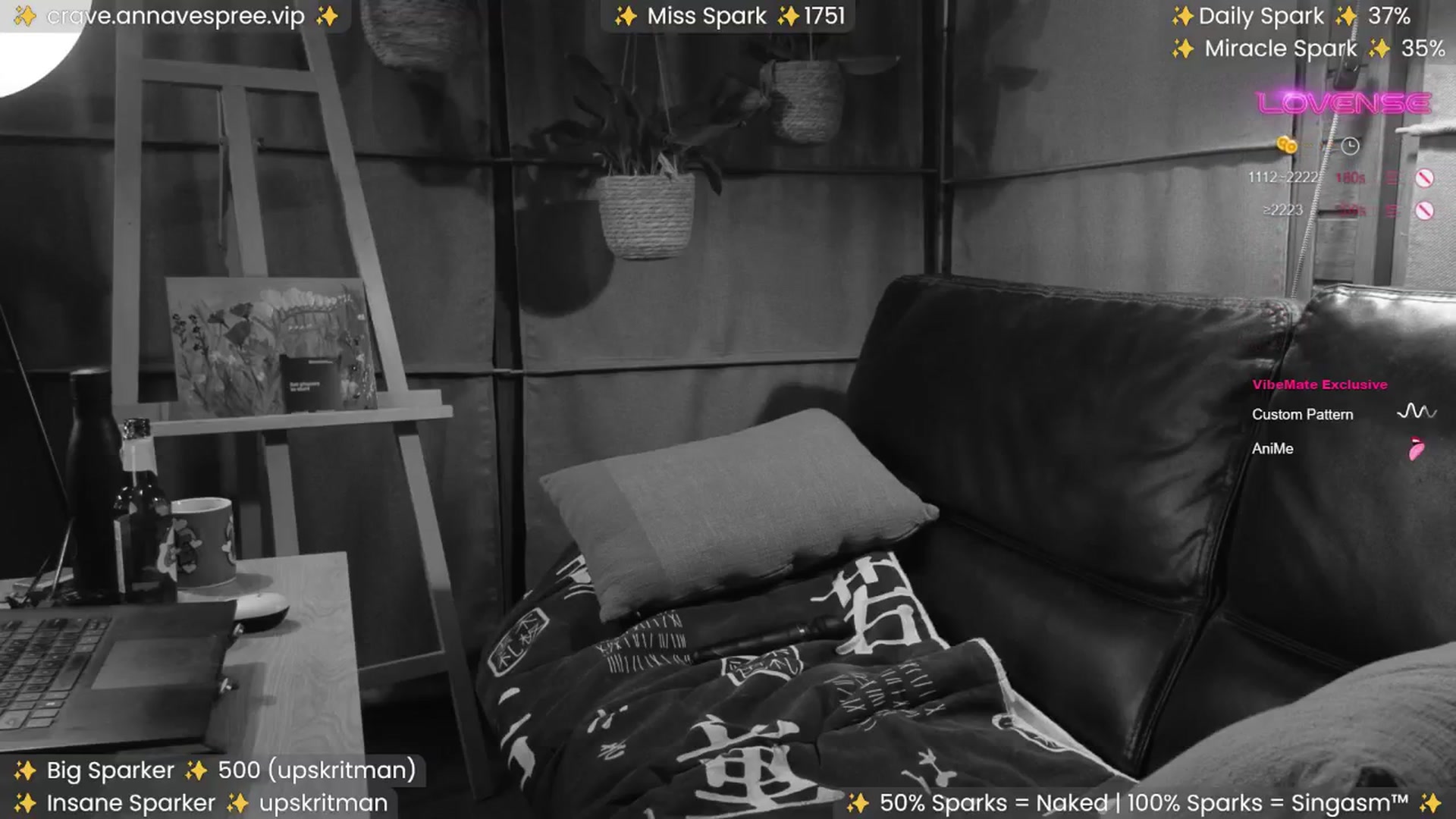 Gallery image thumbnail from AnnaV's myfreecams stream on, 08/24/2024, 20:35 image 4 of 20