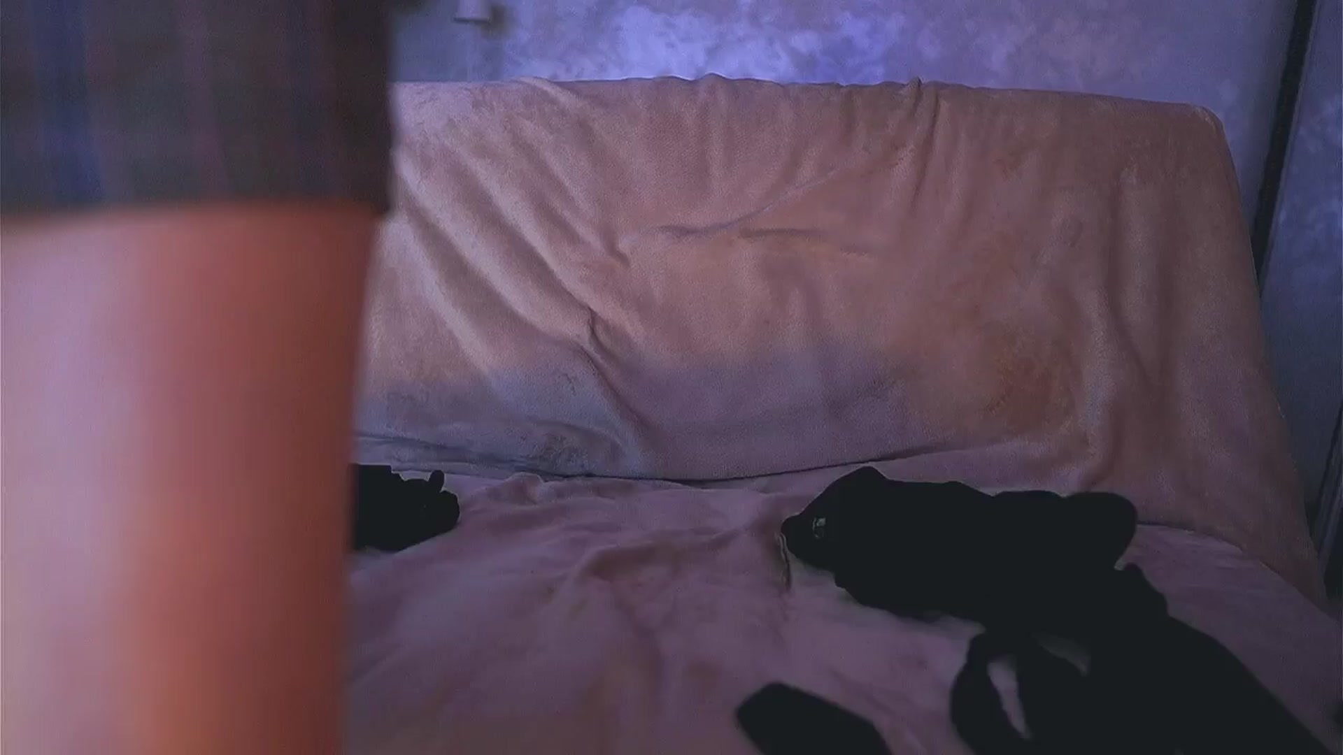 Gallery image thumbnail from Anna_Brown's myfreecams stream on, 04/24/2026, 12:22 image 1 of 20
