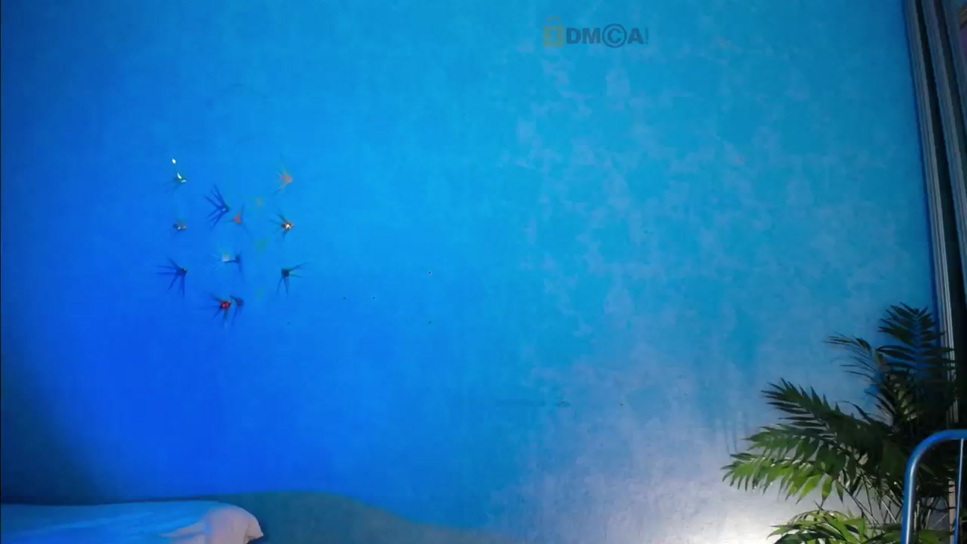 Gallery image thumbnail from Anna_Shine89's myfreecams stream on, 08/25/2024, 17:41 image 12 of 20