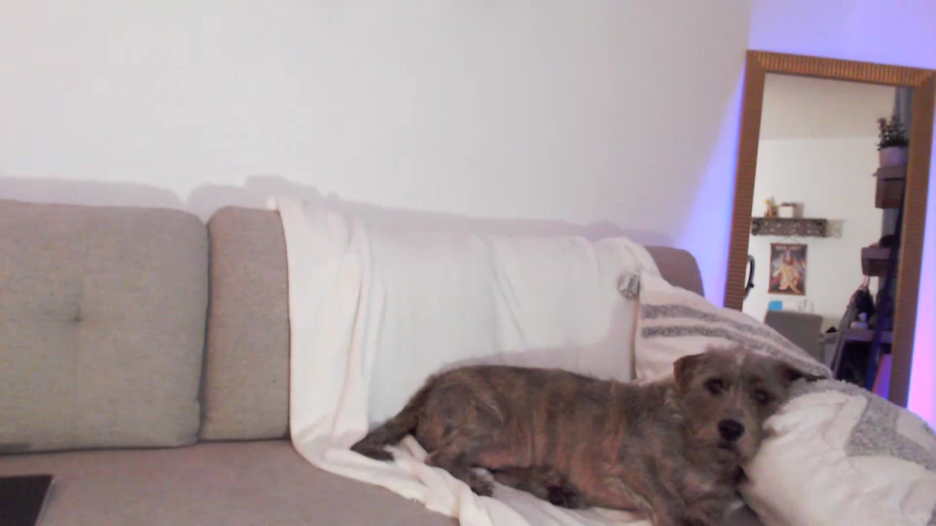 Gallery image thumbnail from Anna__Online's myfreecams stream on, 12/06/2023, 03:45 image 8 of 20