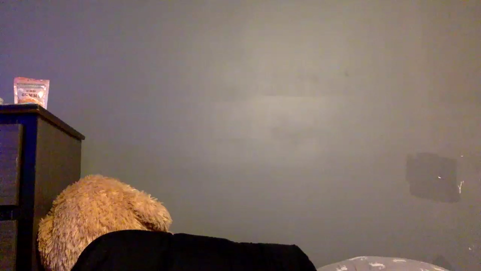 Gallery image thumbnail from Annabanana18's myfreecams stream on, 01/16/2023, 17:02 image 13 of 20