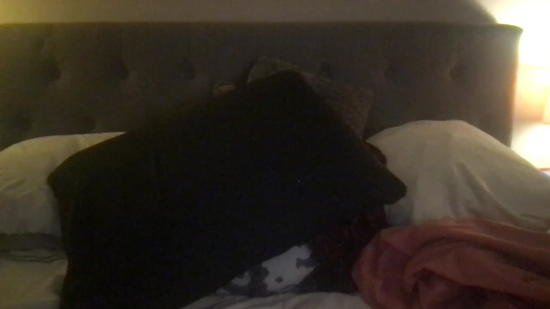 Gallery image thumbnail from Annaerb's myfreecams stream on, 01/10/2024, 09:37 image 10 of 20