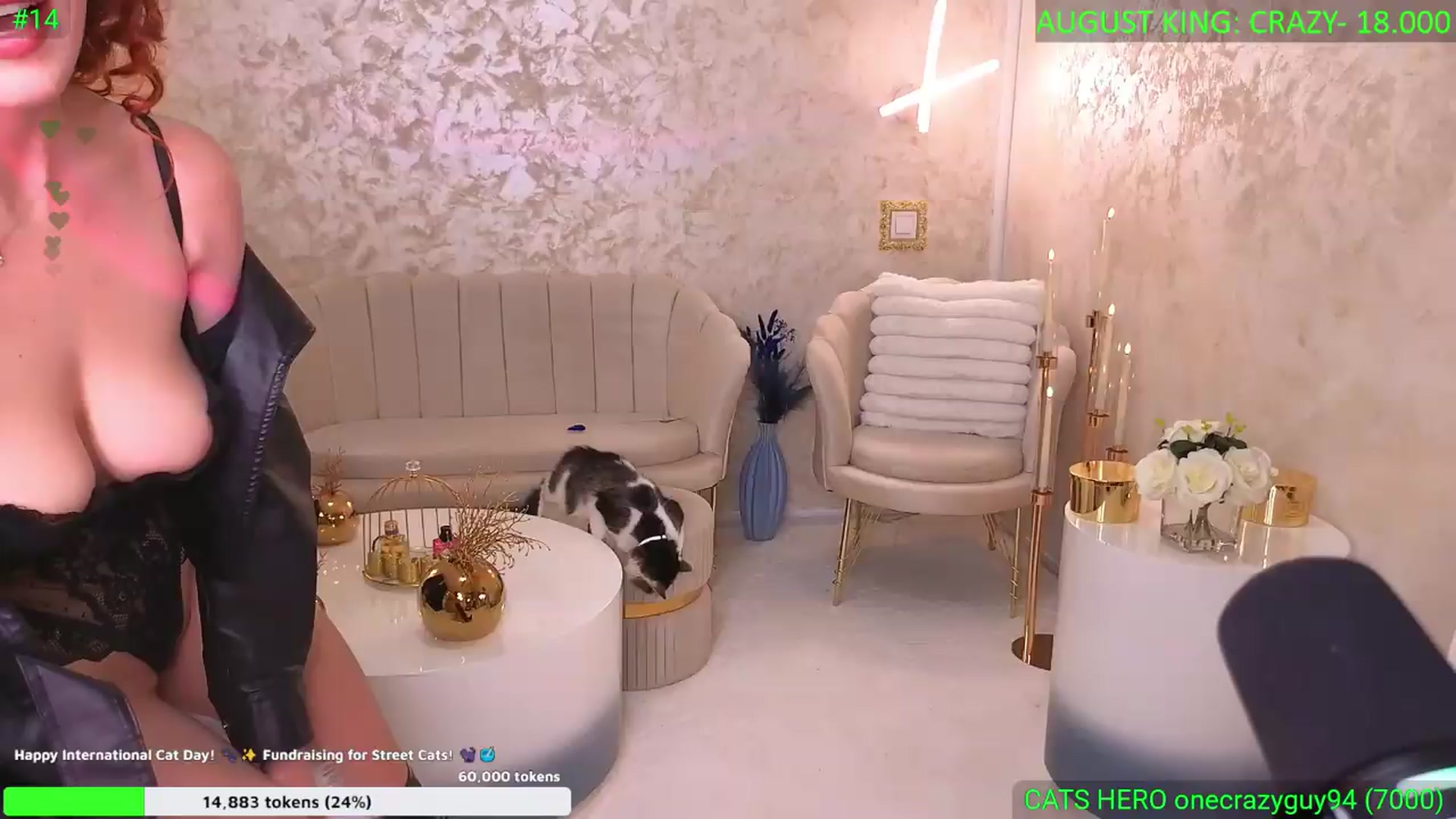 Gallery image thumbnail from Annais____'s myfreecams stream on, 08/11/2026, 24:32 image 9 of 20