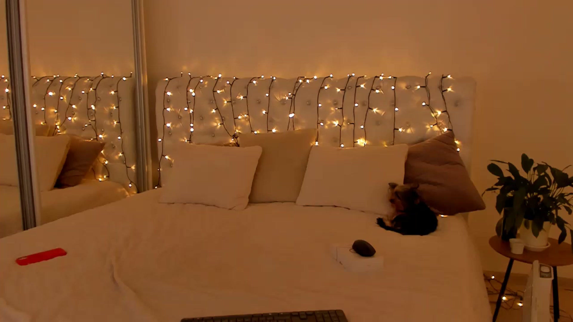 Gallery image thumbnail from Annalils's myfreecams stream on, 12/28/2022, 10:27 image 2 of 20