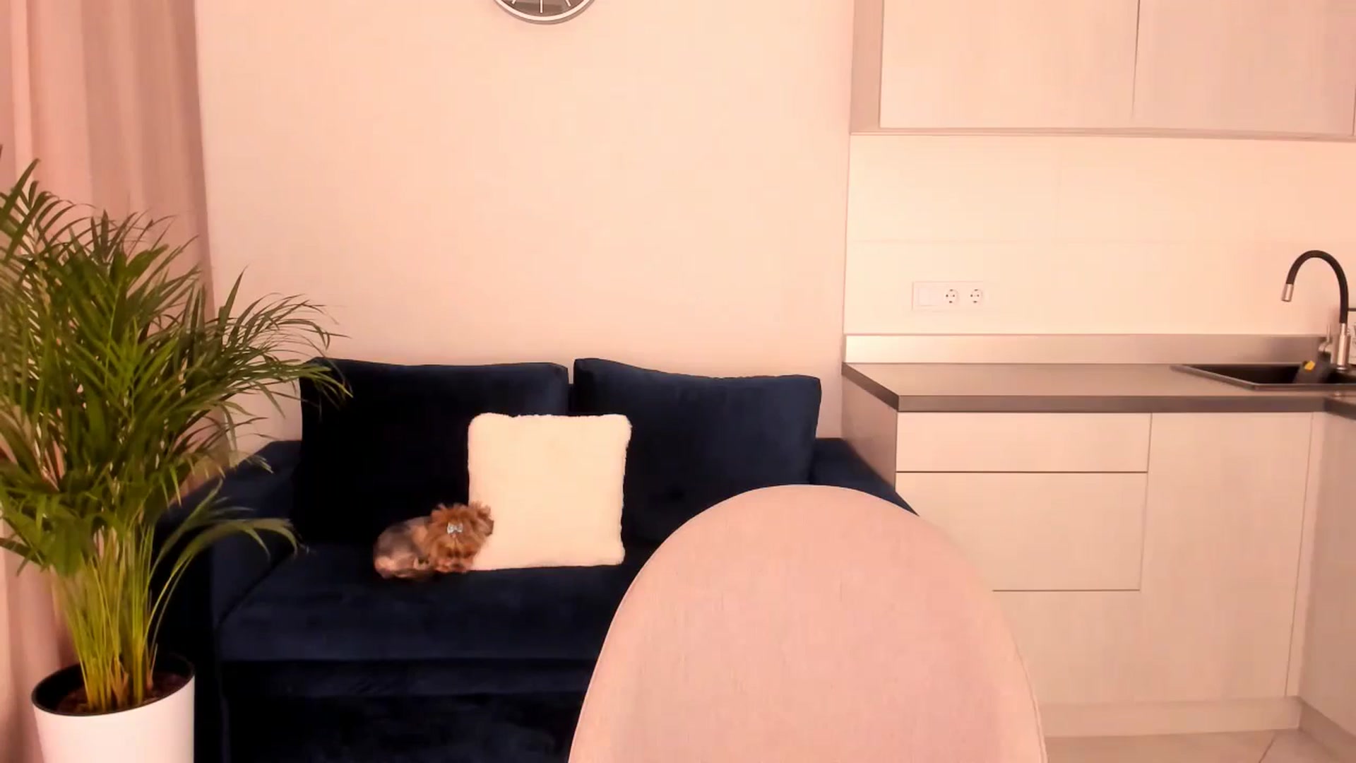 Gallery image thumbnail from Annalils's myfreecams stream on, 07/10/2024, 05:32 image 15 of 20