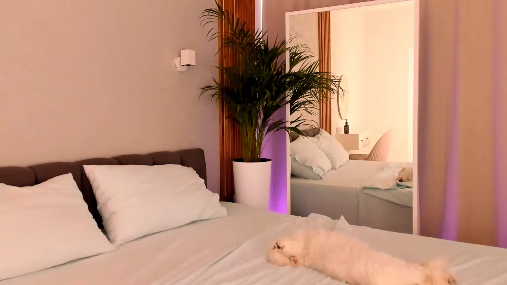 Gallery image thumbnail from Annalils's myfreecams stream on, 07/13/2024, 13:23 image 9 of 20