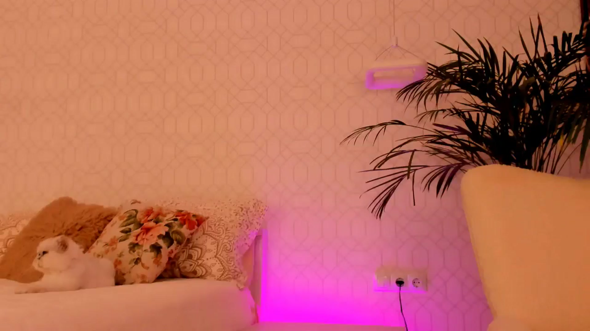 Gallery image thumbnail from Annaliss's myfreecams stream on, 07/04/2025, 16:06 image 19 of 20