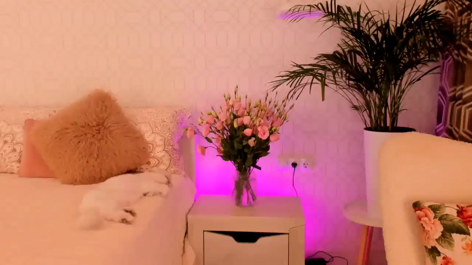 Gallery image thumbnail from Annaliss's myfreecams stream on, 07/21/2025, 06:02 image 5 of 20