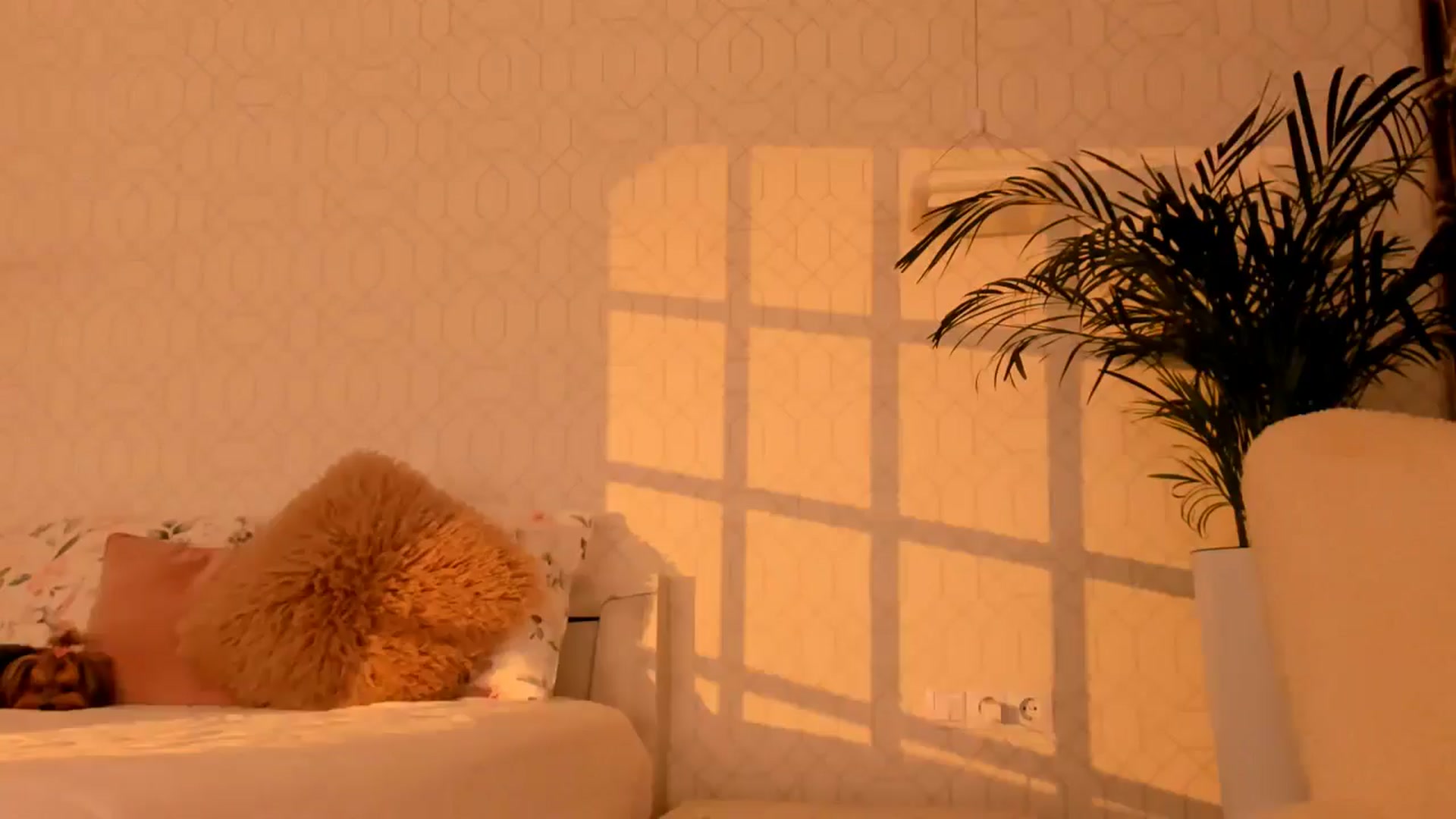 Gallery image thumbnail from Annaliss's myfreecams stream on, 09/12/2025, 19:03 image 8 of 20