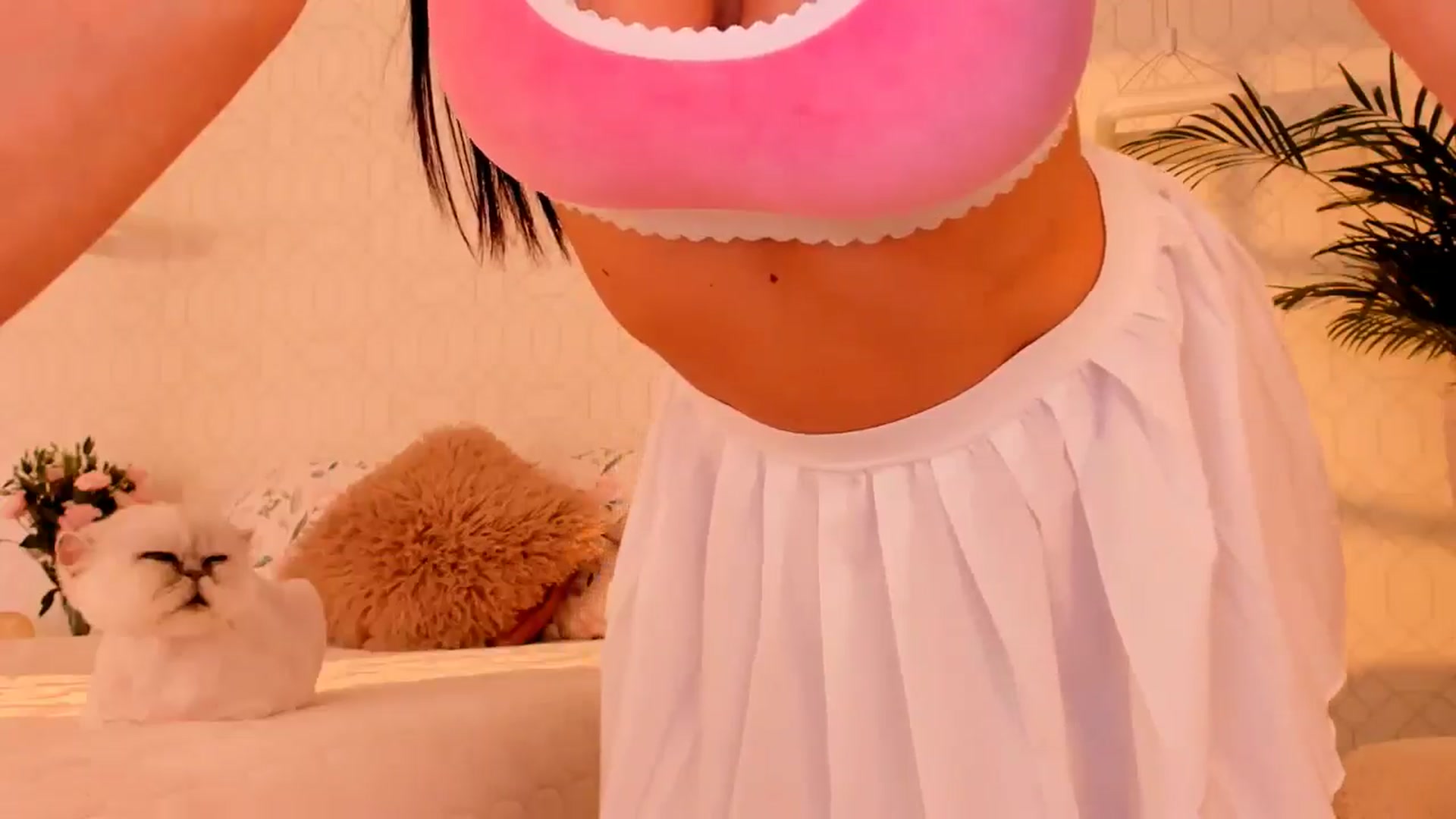 Gallery image thumbnail from Annaliss's myfreecams stream on, 09/16/2025, 17:02 image 17 of 20