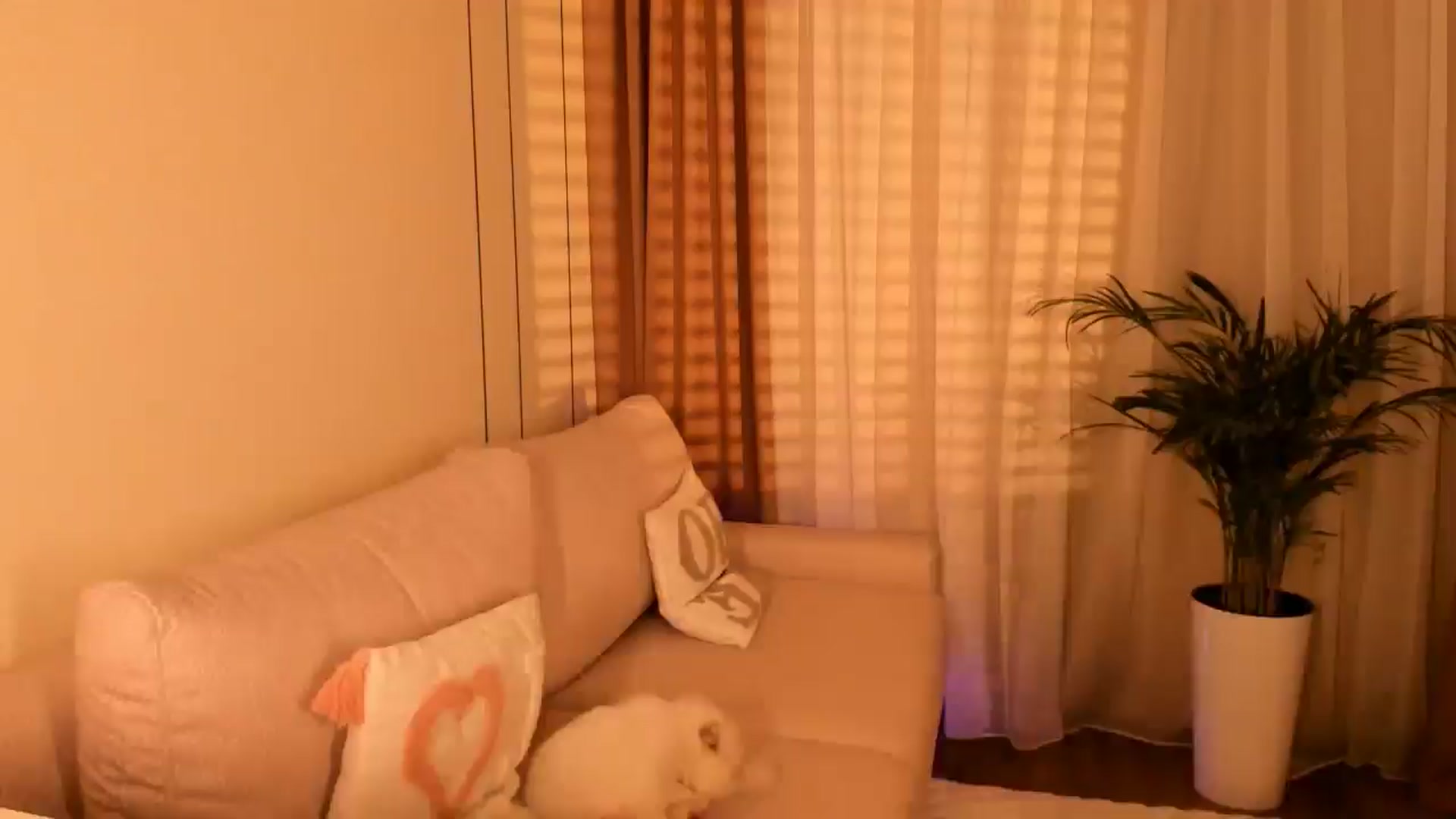 Gallery image thumbnail from Annaliss's myfreecams stream on, 11/01/2025, 16:52 image 17 of 20