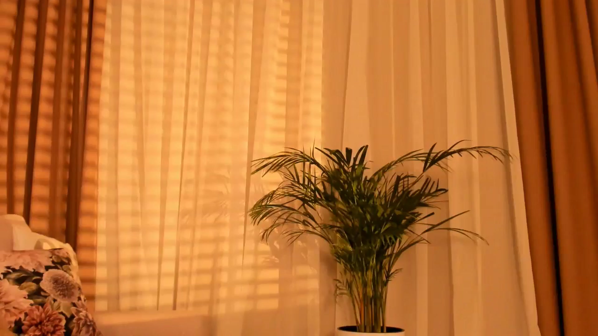 Gallery image thumbnail from Annaliss's myfreecams stream on, 11/03/2025, 06:09 image 15 of 20